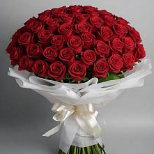 Букет 101 Красная роза Блэк Мэджик в Падаре