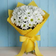 Букет цветов из:  Хризантемы в Падаре