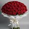Букет 101 Красная роза Блэк Мэджик в Падаре