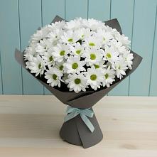 Букет цветов из:  Хризантемы в Падаре