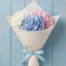 Букет цветов из:  Гортензия в Падаре