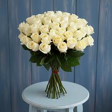 Букет 51 Белая роза Эдлесс Лав #REPLACE_PRED# Падаре