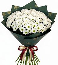 Букет цветов из:  Хризантемы в Падаре