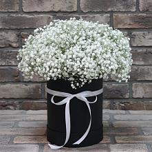 Цветочная композиция из Гипсофила в шляпной коробке в Падаре