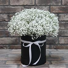 Цветочная композиция из Гипсофила в шляпной коробке в Падаре