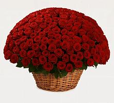 Премиум букет из: Розы в Падаре